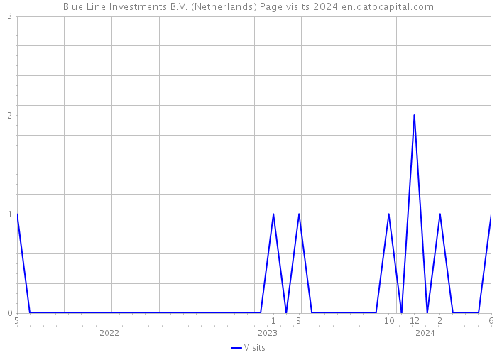 Blue Line Investments B.V. (Netherlands) Page visits 2024 