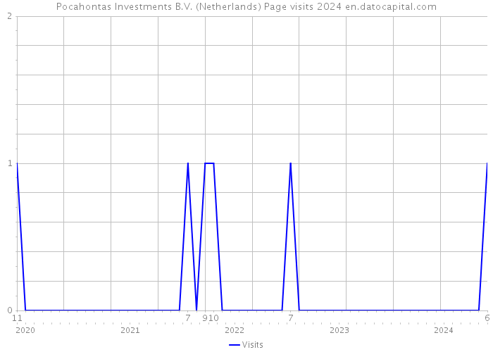 Pocahontas Investments B.V. (Netherlands) Page visits 2024 