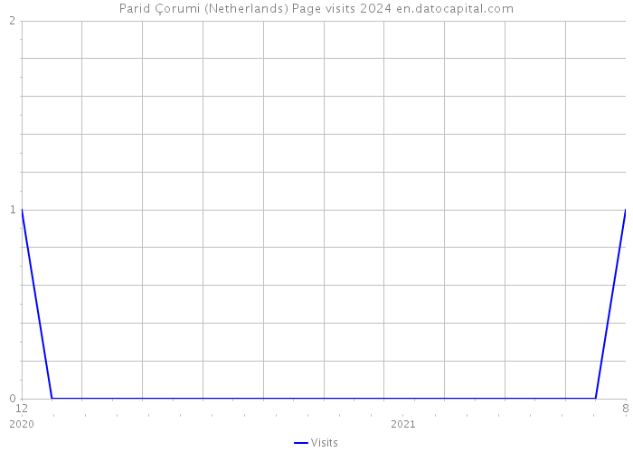 Parid Çorumi (Netherlands) Page visits 2024 