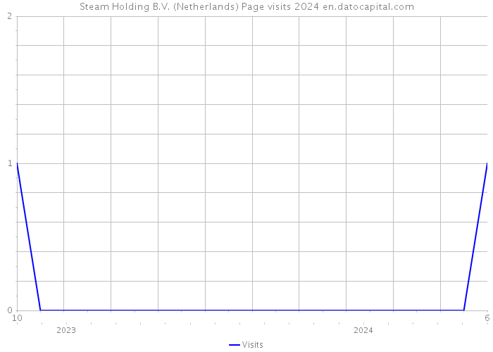 Steam Holding B.V. (Netherlands) Page visits 2024 