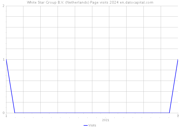 White Star Group B.V. (Netherlands) Page visits 2024 