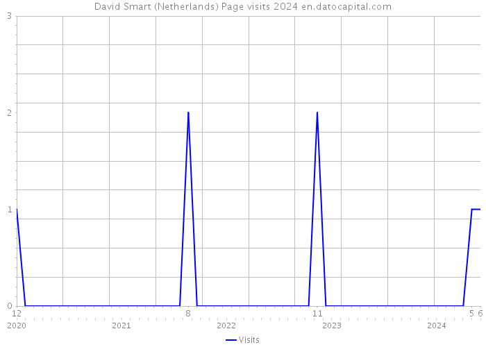 David Smart (Netherlands) Page visits 2024 