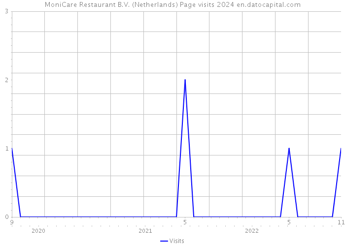 MoniCare Restaurant B.V. (Netherlands) Page visits 2024 