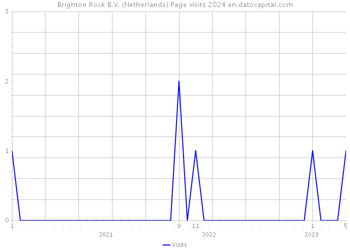 Brighton Rock B.V. (Netherlands) Page visits 2024 