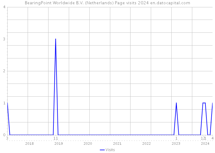 BearingPoint Worldwide B.V. (Netherlands) Page visits 2024 