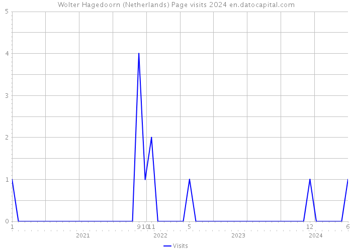 Wolter Hagedoorn (Netherlands) Page visits 2024 