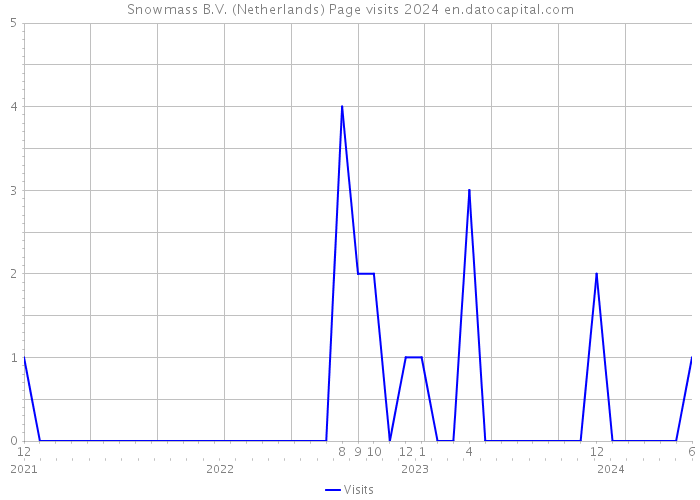 Snowmass B.V. (Netherlands) Page visits 2024 
