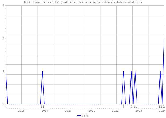R.O. Brans Beheer B.V. (Netherlands) Page visits 2024 
