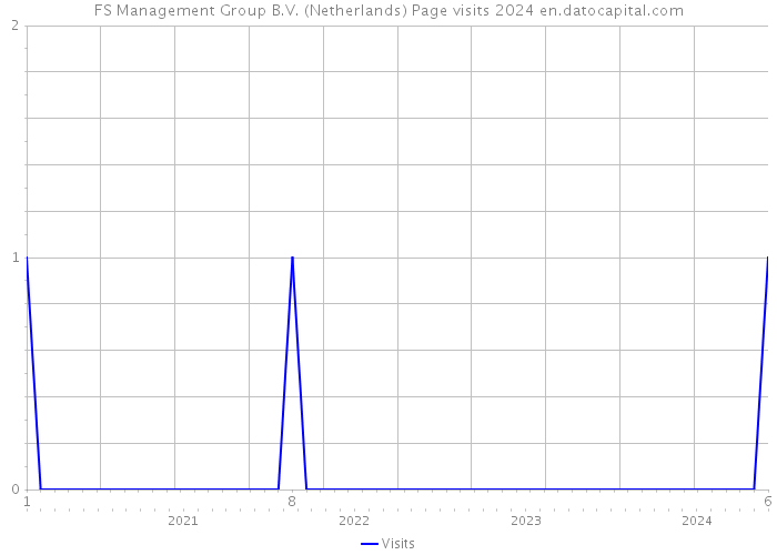 FS Management Group B.V. (Netherlands) Page visits 2024 