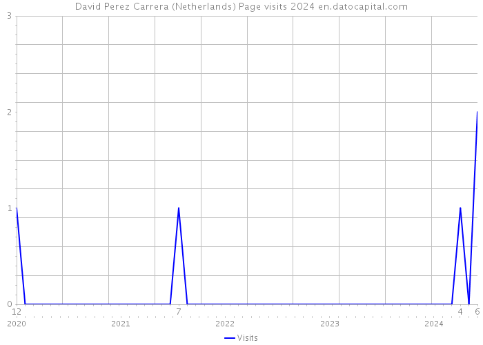 David Perez Carrera (Netherlands) Page visits 2024 