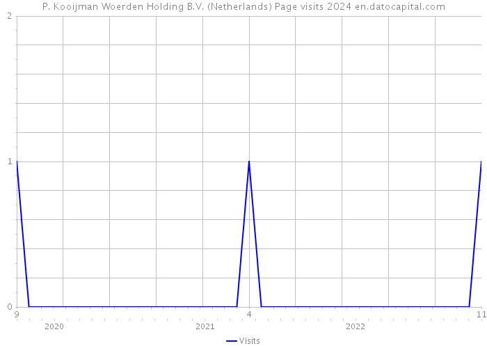 P. Kooijman Woerden Holding B.V. (Netherlands) Page visits 2024 