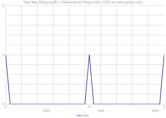 New Way Shipping B.V. (Netherlands) Page visits 2024 