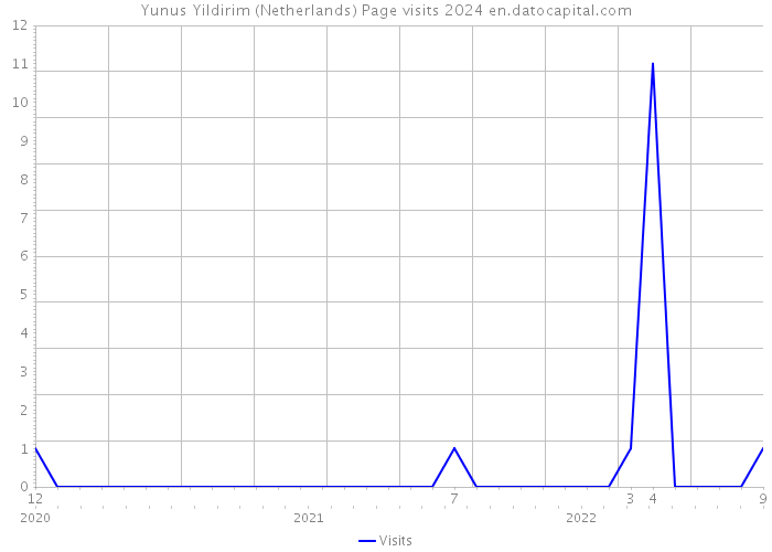 Yunus Yildirim (Netherlands) Page visits 2024 