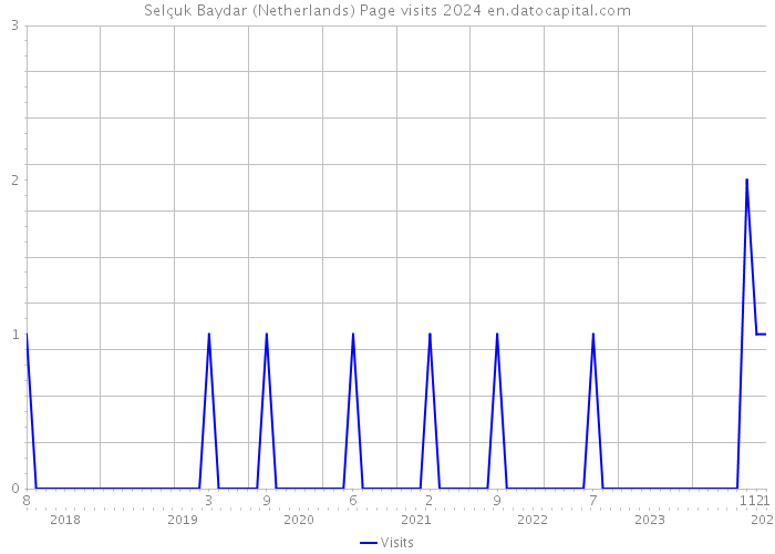 Selçuk Baydar (Netherlands) Page visits 2024 