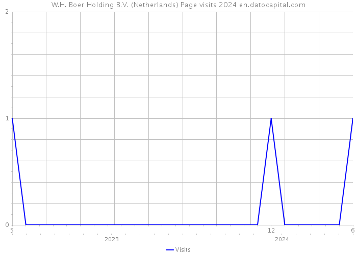 W.H. Boer Holding B.V. (Netherlands) Page visits 2024 