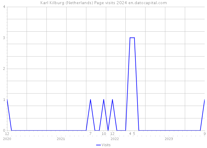 Karl Kilburg (Netherlands) Page visits 2024 