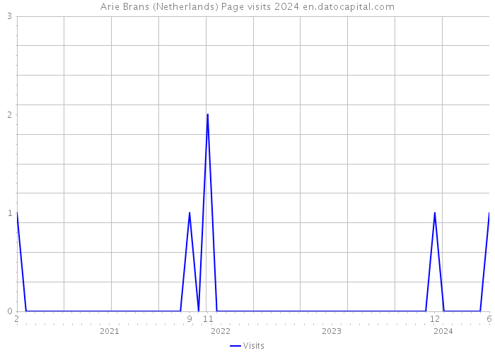 Arie Brans (Netherlands) Page visits 2024 