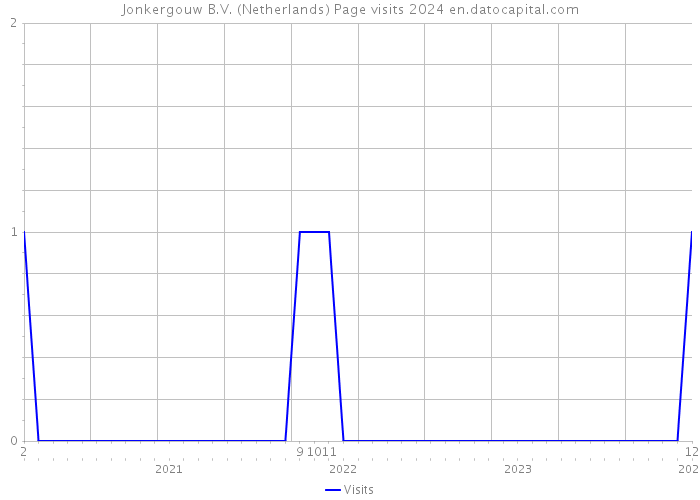 Jonkergouw B.V. (Netherlands) Page visits 2024 