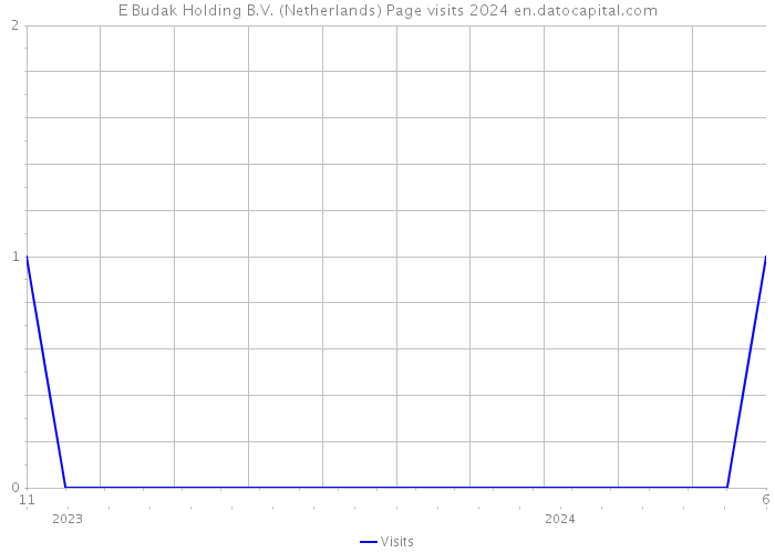 E Budak Holding B.V. (Netherlands) Page visits 2024 