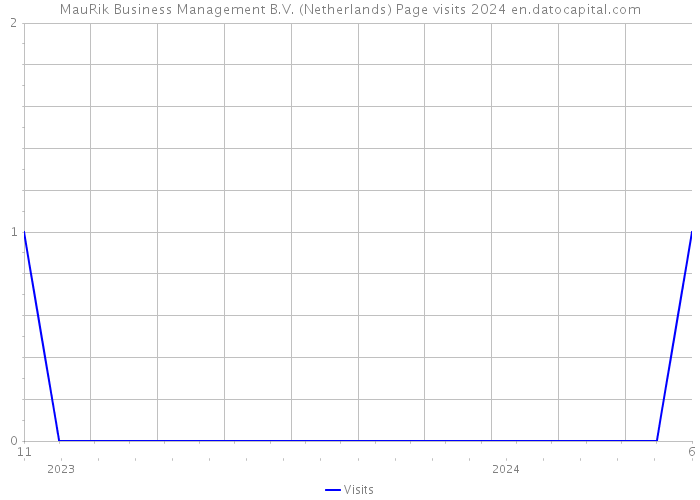 MauRik Business Management B.V. (Netherlands) Page visits 2024 