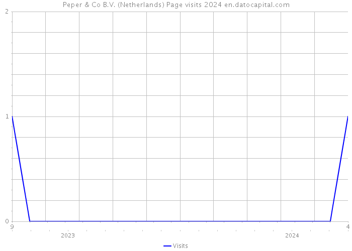 Peper & Co B.V. (Netherlands) Page visits 2024 
