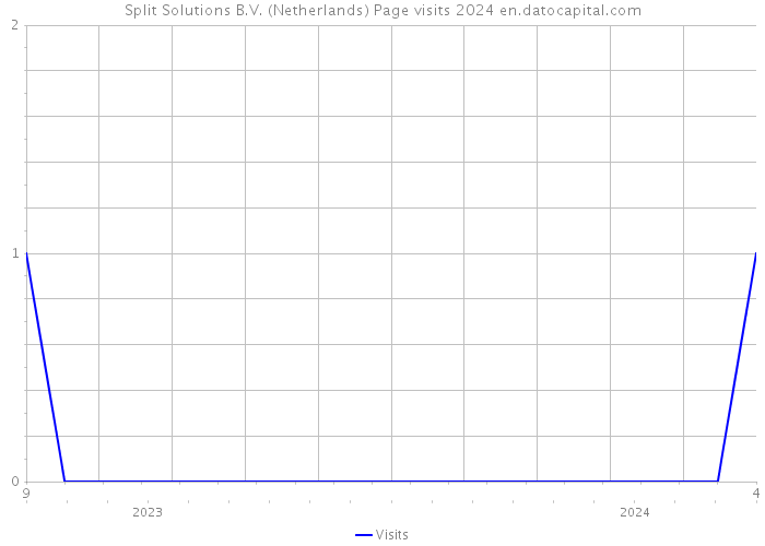 Split Solutions B.V. (Netherlands) Page visits 2024 
