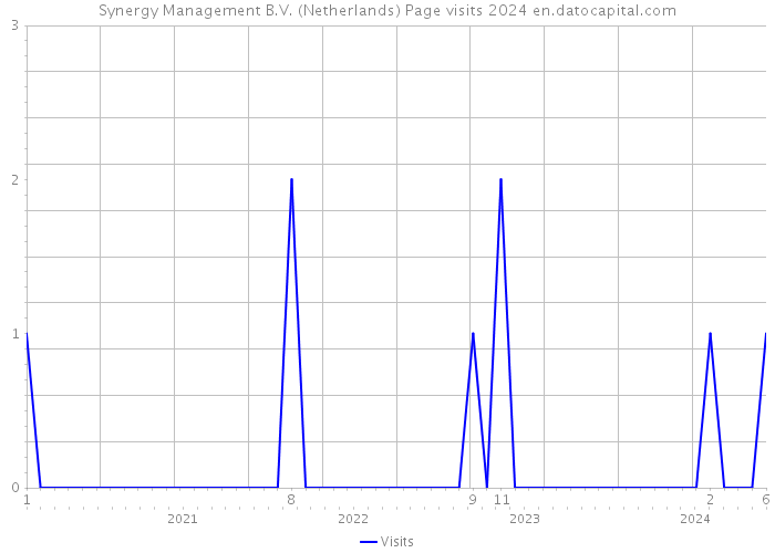 Synergy Management B.V. (Netherlands) Page visits 2024 