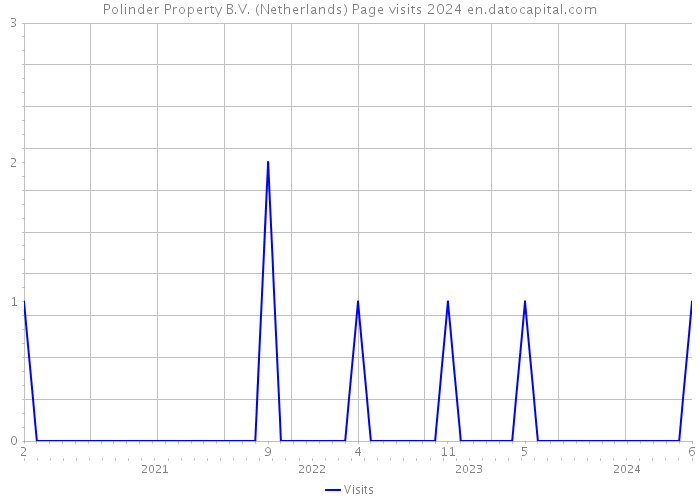 Polinder Property B.V. (Netherlands) Page visits 2024 