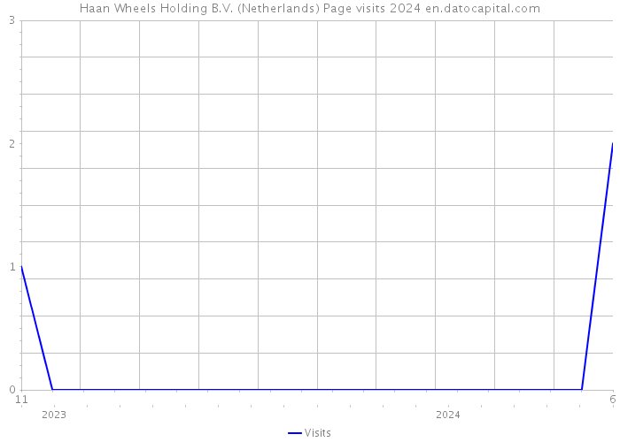 Haan Wheels Holding B.V. (Netherlands) Page visits 2024 