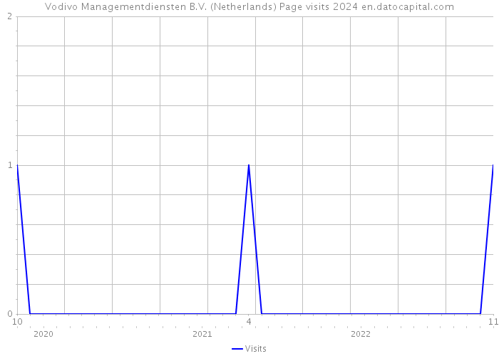 Vodivo Managementdiensten B.V. (Netherlands) Page visits 2024 