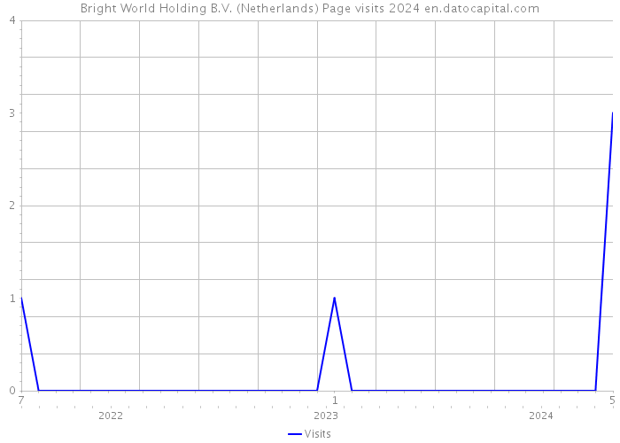 Bright World Holding B.V. (Netherlands) Page visits 2024 