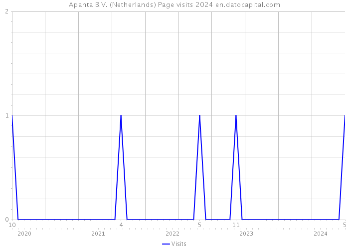 Apanta B.V. (Netherlands) Page visits 2024 