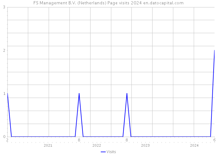 FS Management B.V. (Netherlands) Page visits 2024 