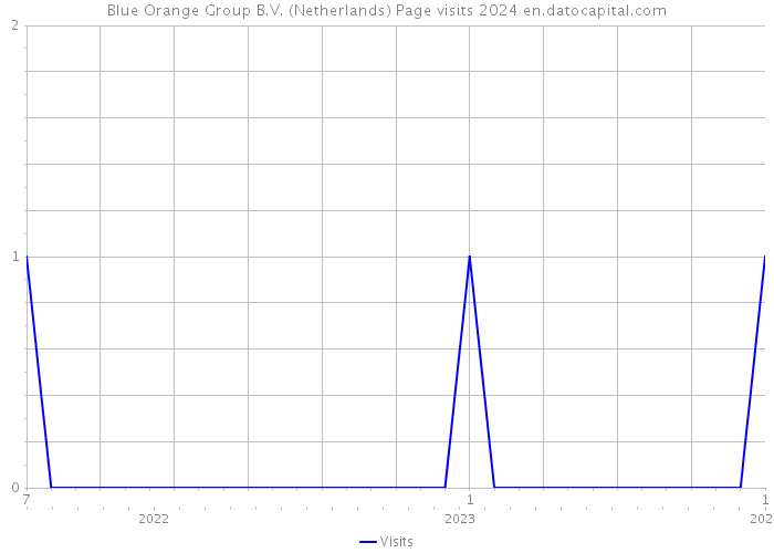 Blue Orange Group B.V. (Netherlands) Page visits 2024 