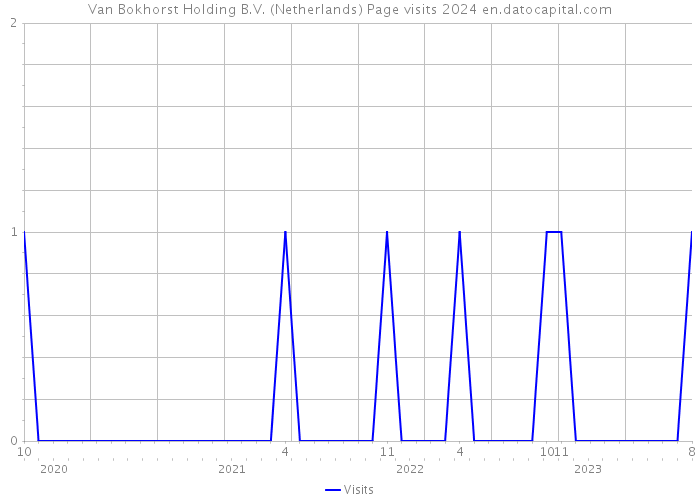 Van Bokhorst Holding B.V. (Netherlands) Page visits 2024 