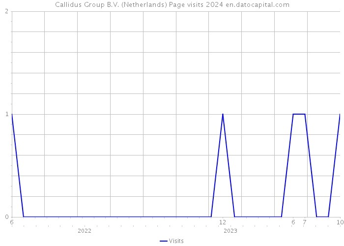 Callidus Group B.V. (Netherlands) Page visits 2024 
