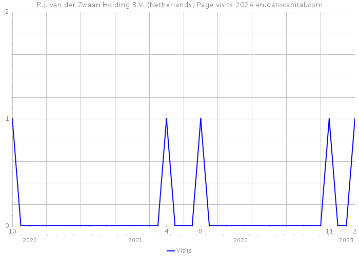 R.J. van der Zwaan Holding B.V. (Netherlands) Page visits 2024 
