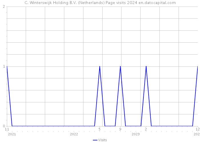 C. Winterswijk Holding B.V. (Netherlands) Page visits 2024 