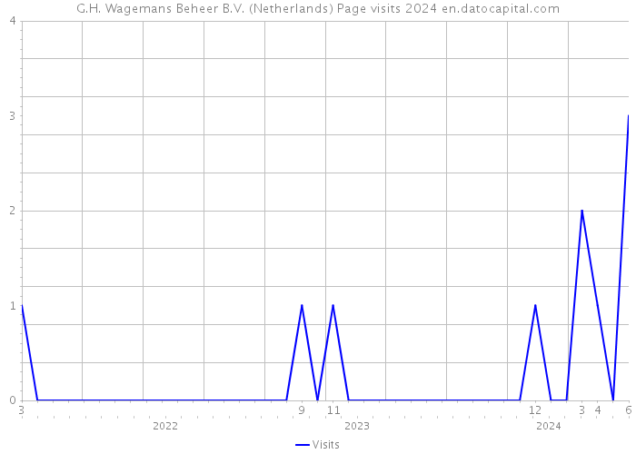 G.H. Wagemans Beheer B.V. (Netherlands) Page visits 2024 
