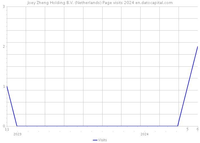 Joey Zheng Holding B.V. (Netherlands) Page visits 2024 