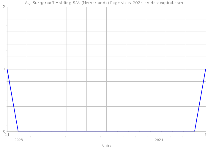 A.J. Burggraaff Holding B.V. (Netherlands) Page visits 2024 