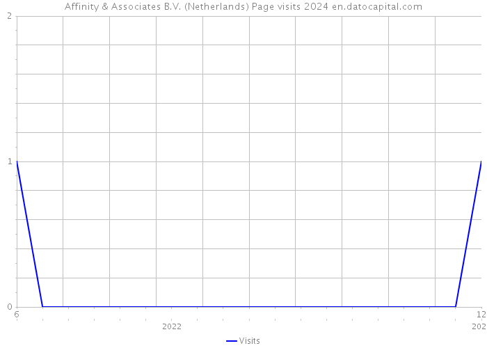 Affinity & Associates B.V. (Netherlands) Page visits 2024 