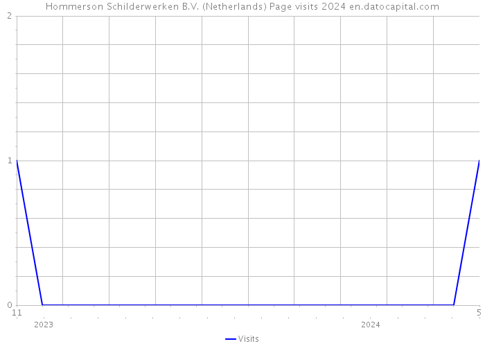 Hommerson Schilderwerken B.V. (Netherlands) Page visits 2024 