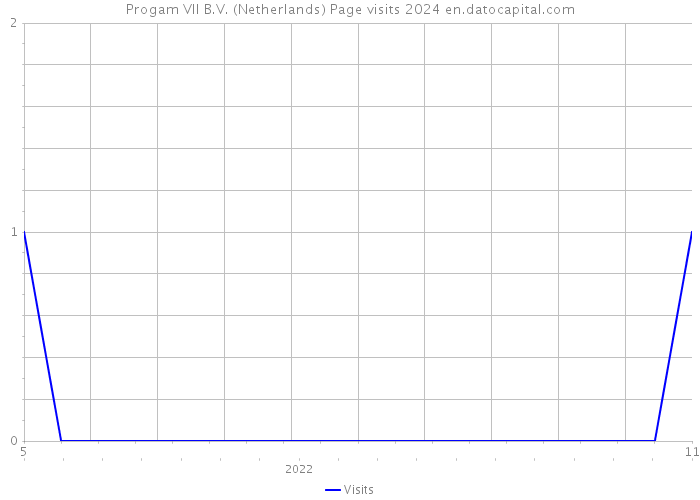 Progam VII B.V. (Netherlands) Page visits 2024 