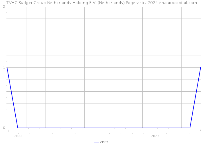 TVHG Budget Group Netherlands Holding B.V. (Netherlands) Page visits 2024 