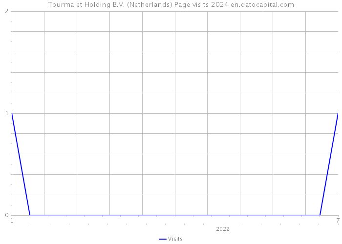 Tourmalet Holding B.V. (Netherlands) Page visits 2024 