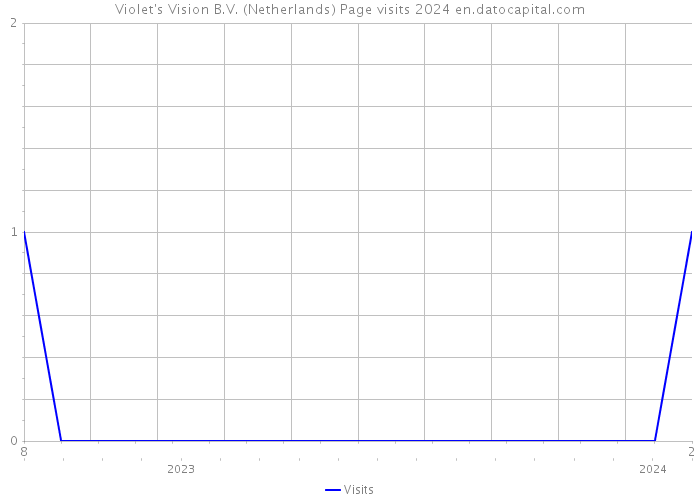Violet's Vision B.V. (Netherlands) Page visits 2024 