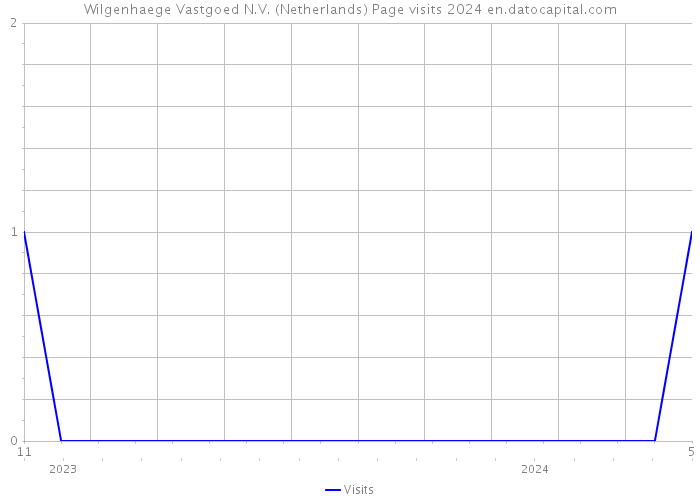 Wilgenhaege Vastgoed N.V. (Netherlands) Page visits 2024 