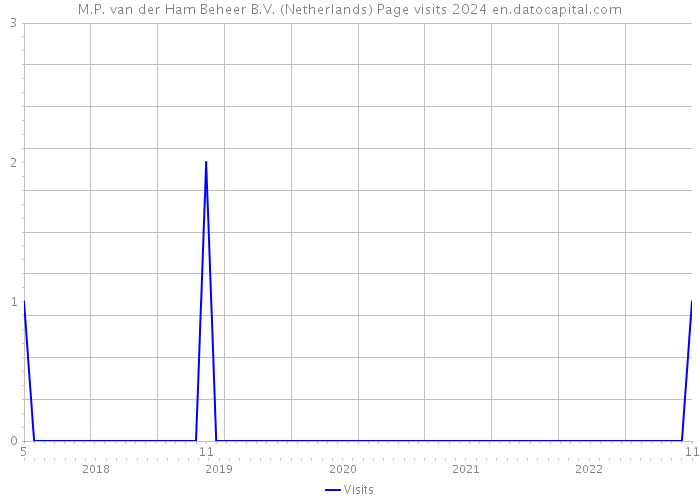 M.P. van der Ham Beheer B.V. (Netherlands) Page visits 2024 