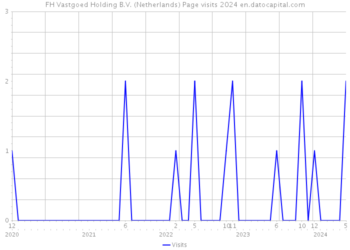FH Vastgoed Holding B.V. (Netherlands) Page visits 2024 